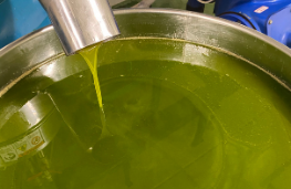 Olio di oliva di frantoio